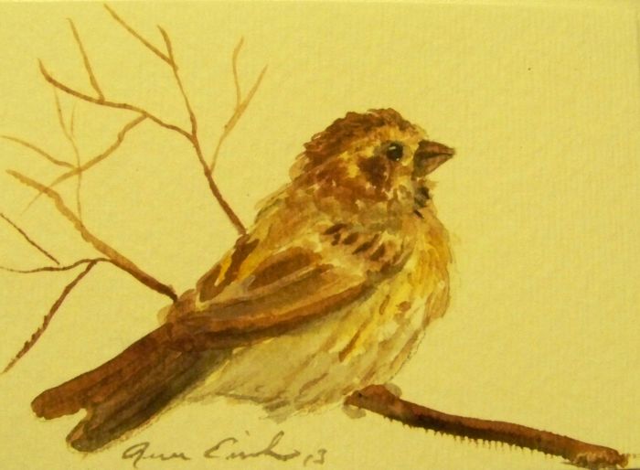 Little sparrow by Renee Erickson