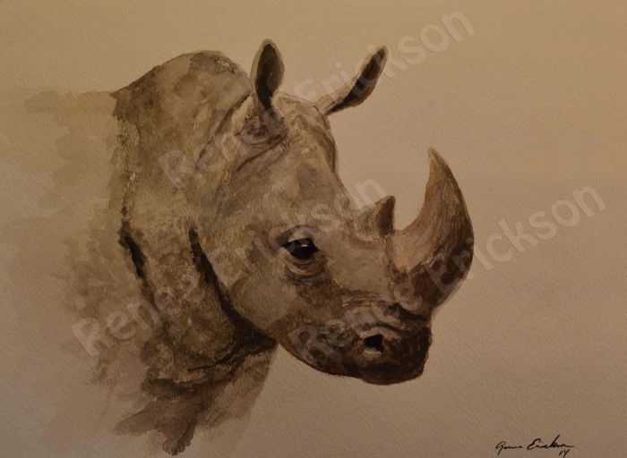 Rhino by Renee Erickson