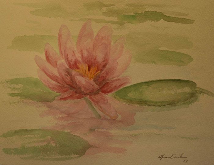Water lily  by Renee Erickson