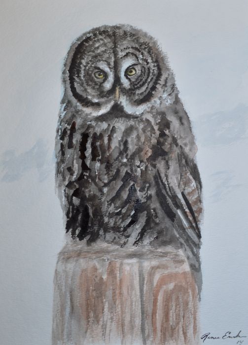 Magical Owl by Renee Erickson