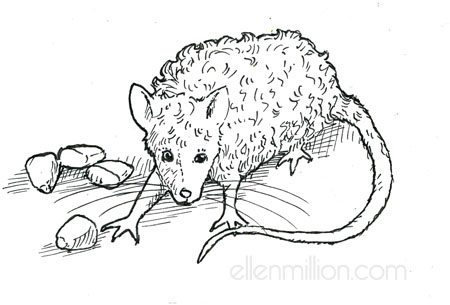 Squiggle Mouse by Ellen Million