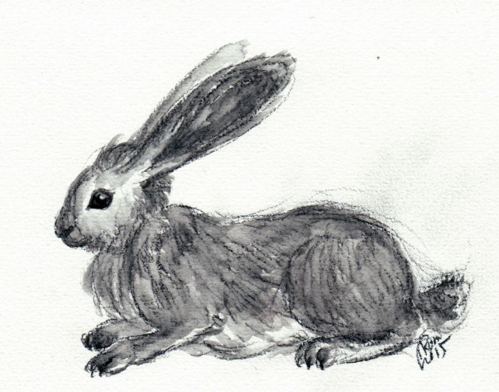 Dark hare by K. Romanova