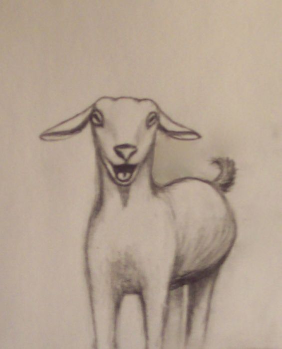 Goat Holler  by Sylvia Heidewald