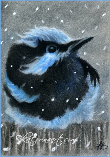 Feathers in the snow by katerina Koukiotis