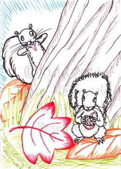 Nutty Squirrels by Jenny Heidewald