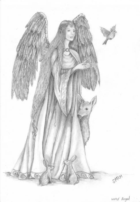 The Winter Angel by Sue Rundle-Hughes