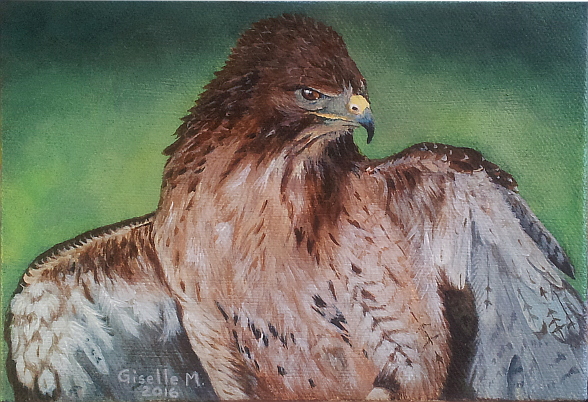 The Hawk by Giselle