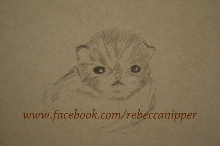 Little Kitty by Rebecca Nipper