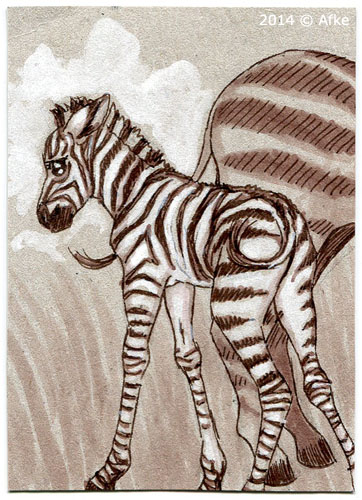 Baby Zebra by Afke