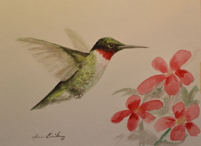 Ruby throated hummingbird by Renee Erickson