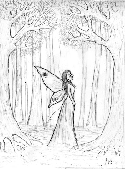 walk in the woods by linzi fay