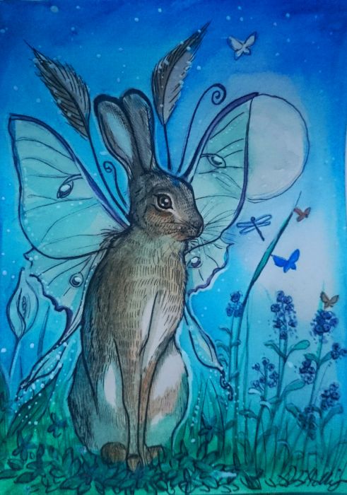 Luna Hare  by Dawn Holliday