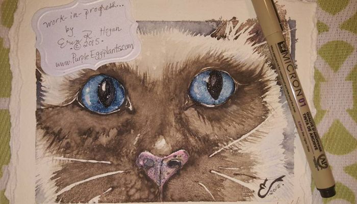 Blue-eyed siamese cat by Erin Hogan
