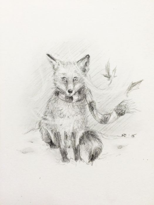 Cold is the winter thought the fox. by Natacha Chohra