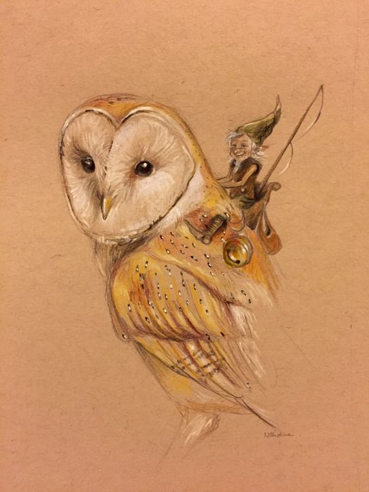 Owl Rider by Natacha Chohra