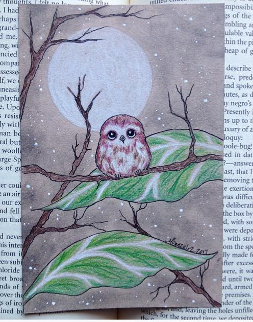 Littlest Owl by Maria Gonzalez