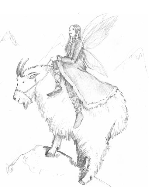 On the mountain goat by Sue Rundle-Hughes