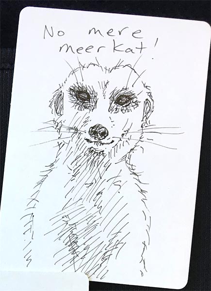 Not a mere meerkat... by Ellen Million