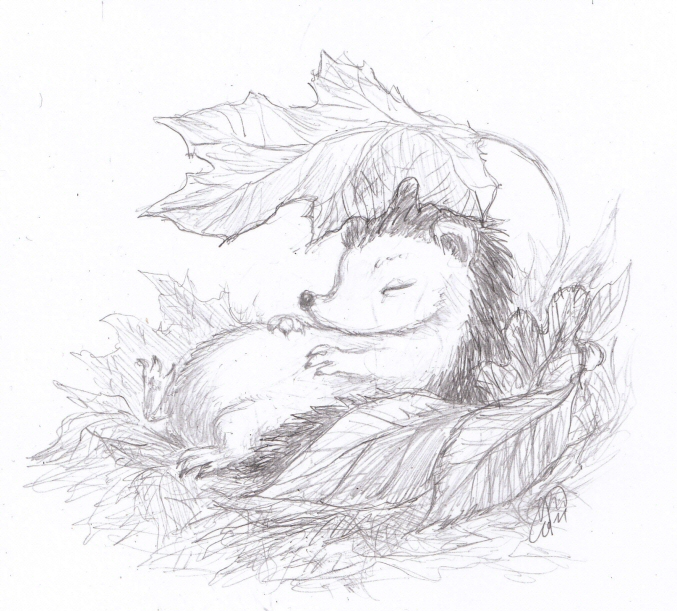 Hedgehog Sleeping Under Autumn Leaves by K. Romanova