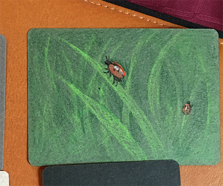 Ladybugs! by Ellen Million