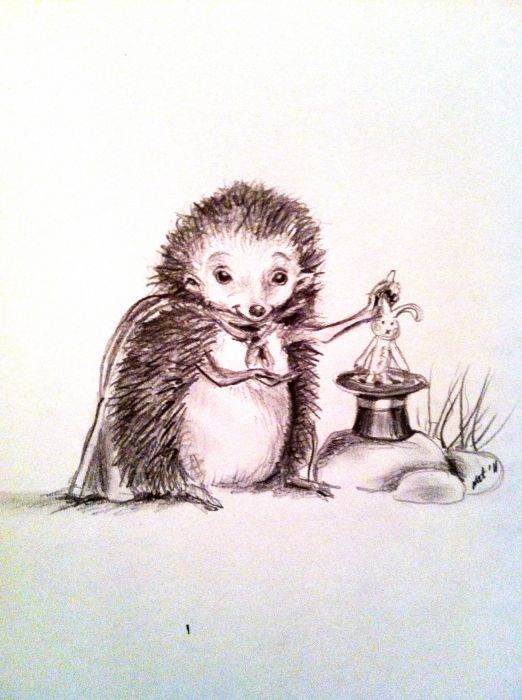 A hedgehog magician by Natacha Chohra
