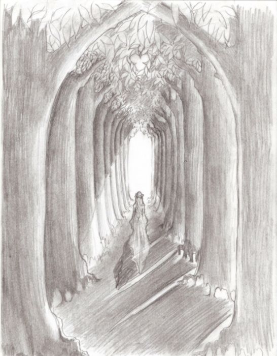 Forest Cathedral by Catherine Swinford