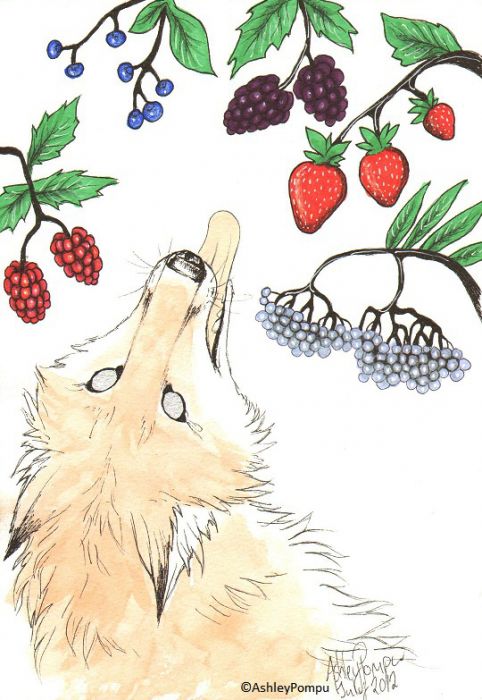 Sweet Summer Berries by Vashley