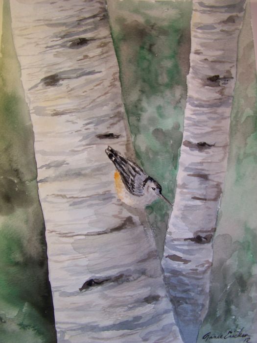 Nuthatch and Birch by Renee Erickson