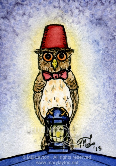 Doctor Whoooo by Mary Layton