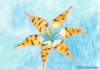 Tiger Lily (finished)
