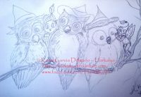 A Coven of Owls