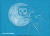 Owl and the Moon 1