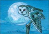 Owl and the Moon