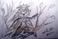 Owl Princess
