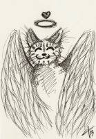Angel Meow
