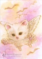 Flying Kitten