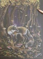 Fox in the dark woods