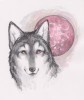 Wolf blood moon