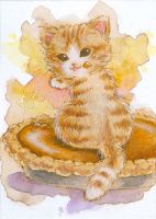 Pumpkin Pie Kitten