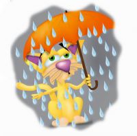 sad yellow cat, orange umbrella