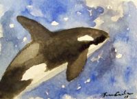 Killer Whale in space