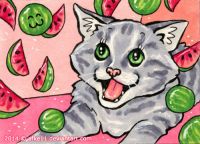 Watermelon Kitten!