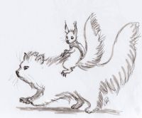 Sir Squirrelalot and Mr. Fuzzy