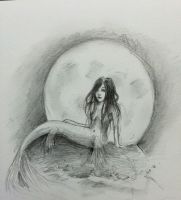Mermaid of The Night