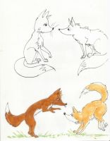Playing Foxes