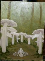 Within the Fairy Ring