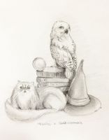 Hedwig and Crookshanks