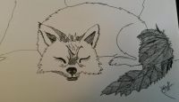 Wee Fox- sleeping animal