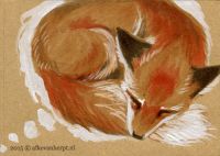 Sleep well, and Sweet dreams, little Fox...