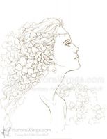 Hydrangea Princess (ink)